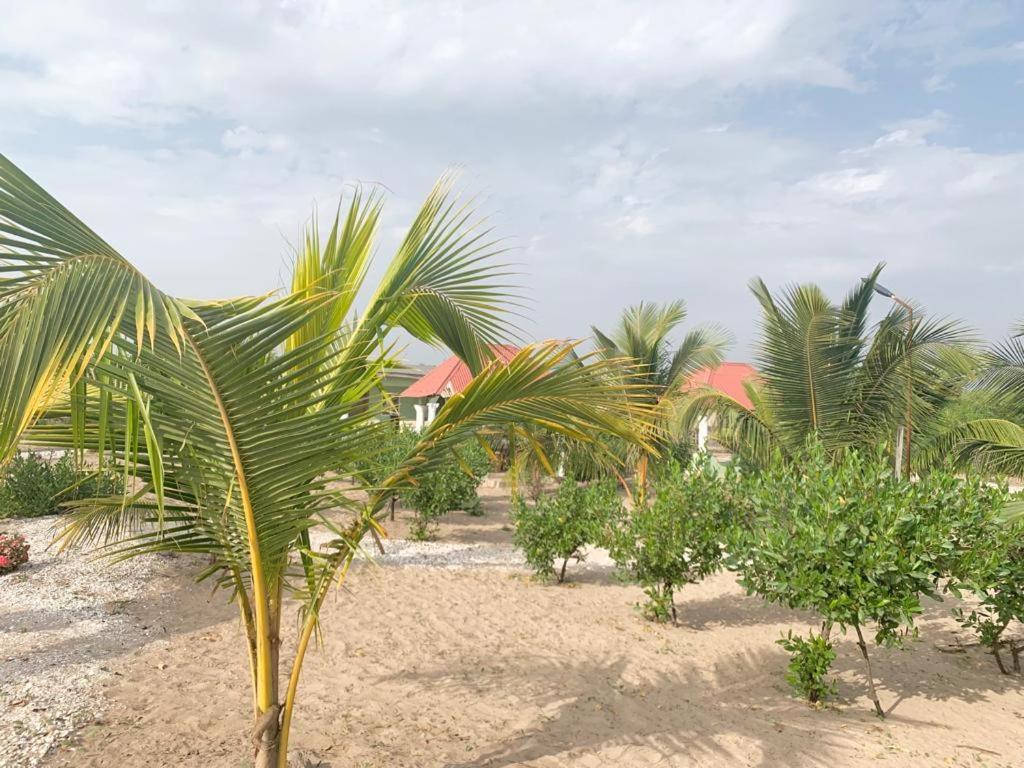 Bosofet Beach And Creek Lodge Sanyang Экстерьер фото